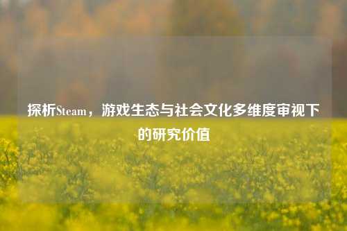探析Steam，游戏生态与社会文化多维度审视下的研究价值