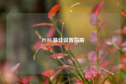 PUBG更佳设置指南