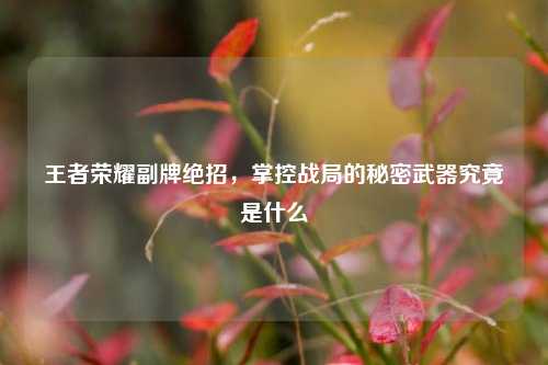 王者荣耀副牌绝招，掌控战局的秘密武器究竟是什么