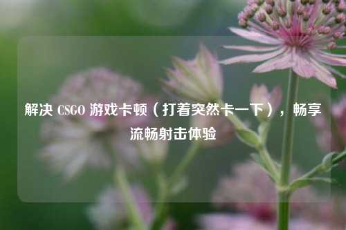 解决 CSGO 游戏卡顿（打着突然卡一下），畅享流畅射击体验