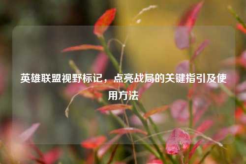 英雄联盟视野标记，点亮战局的关键指引及使用 *** 