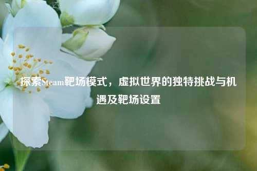 探索Steam靶场模式，虚拟世界的独特挑战与机遇及靶场设置