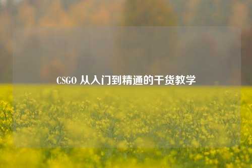 CSGO 从入门到精通的干货教学