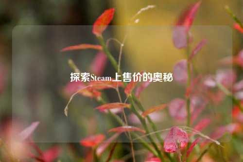探索Steam上售价的奥秘