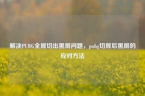 解决PUBG全屏切出黑屏问题，pubg切屏后黑屏的应对 *** 