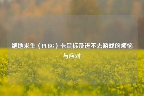 绝地求生（PUBG）卡鼠标及进不去游戏的烦恼与应对