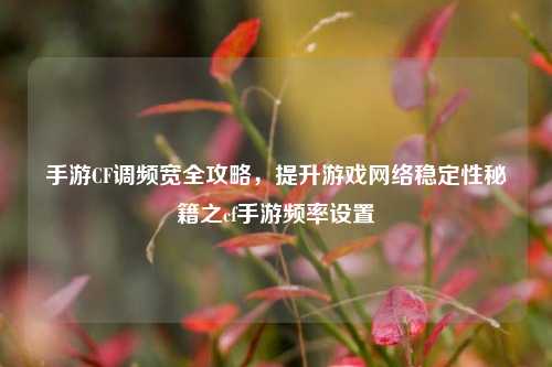 手游CF调频宽全攻略，提升游戏 *** 稳定性秘籍之cf手游频率设置