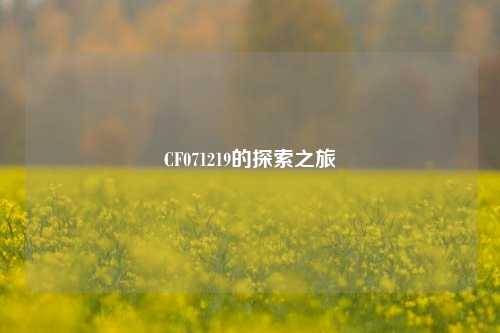 CF071219的探索之旅
