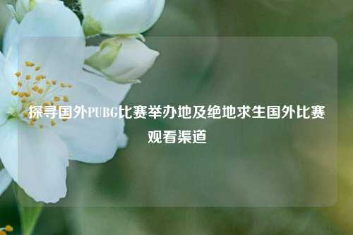 探寻国外PUBG比赛举办地及绝地求生国外比赛观看渠道