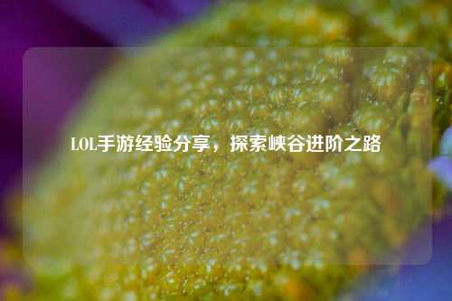 LOL手游经验分享，探索峡谷进阶之路