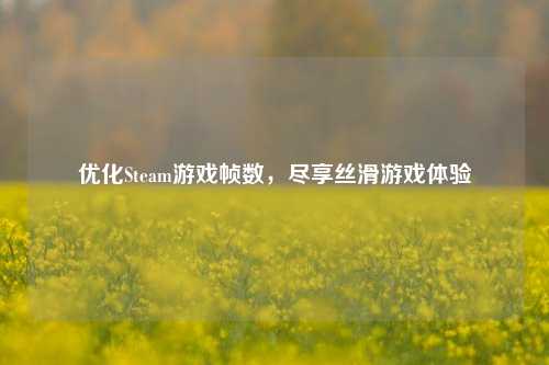 优化Steam游戏帧数，尽享丝滑游戏体验