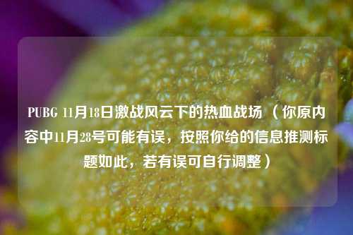 PUBG 11月18日激战风云下的热血战场 （你原内容中11月28号可能有误，按照你给的信息推测标题如此，若有误可自行调整）