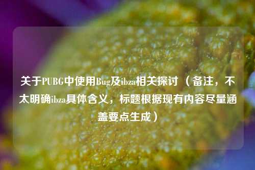 关于PUBG中使用Bug及ibza相关探讨 （备注，不太明确ibza具体含义，标题根据现有内容尽量涵盖要点生成）