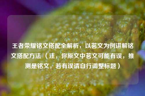 王者荣耀铭文搭配全解析，以茗文为例讲解铭文搭配 ***  （注，你原文中茗文可能有误，推测是铭文，若有误请自行调整标题）