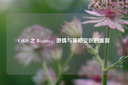 CSGO 之 Bigame， *** 与策略交织的盛宴