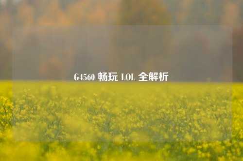 G4560 畅玩 LOL 全解析