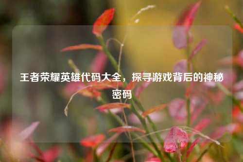 王者荣耀英雄代码大全，探寻游戏背后的神秘密码