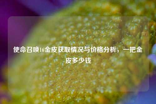 使命召唤16金皮获取情况与价格分析，一把金皮多少钱