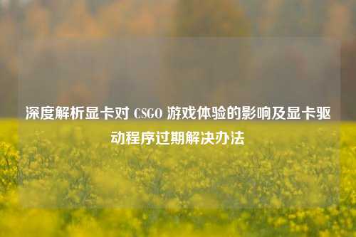 深度解析显卡对 CSGO 游戏体验的影响及显卡驱动程序过期解决办法