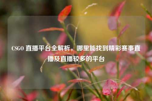 CSGO 直播平台全解析，哪里能找到精彩赛事直播及直播较多的平台