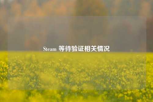 Steam 等待验证相关情况