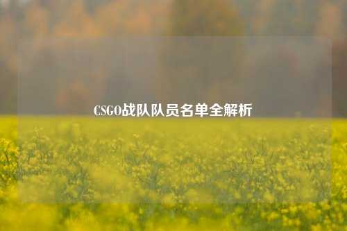 CSGO战队队员名单全解析