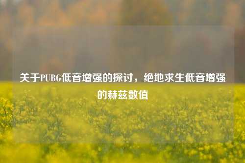 关于PUBG低音增强的探讨，绝地求生低音增强的赫兹数值