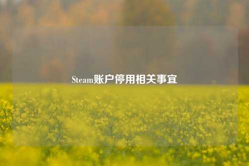 Steam账户停用相关事宜