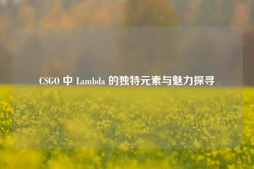 CSGO 中 Lambda 的独特元素与魅力探寻