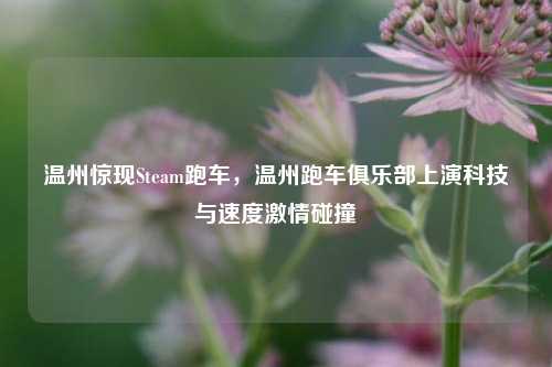温州惊现Steam跑车，温州跑车俱乐部上演科技与速度 *** 碰撞