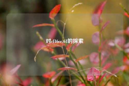 对cf46ce.61的探索