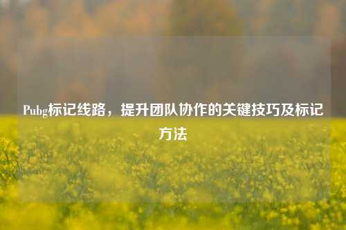 Pubg标记线路，提升团队协作的关键技巧及标记 *** 