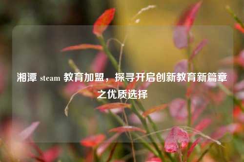 湘潭 steam 教育加盟，探寻开启创新教育新篇章之优质选择