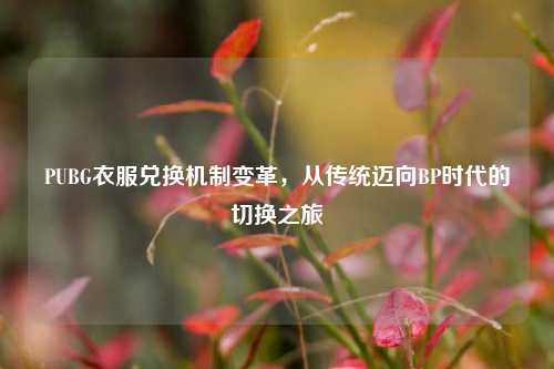 PUBG衣服兑换机制变革，从传统迈向BP时代的切换之旅