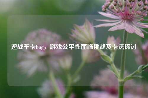 逆战车卡bug，游戏公平性面临挑战及卡法探讨