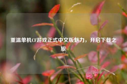 重温单机CF游戏正式中文版魅力，开启下载之旅