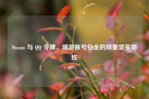 Steam 与  ***  令牌，端游账号安全的双重坚实防线