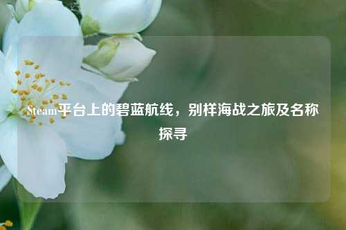 Steam平台上的碧蓝航线，别样海战之旅及名称探寻