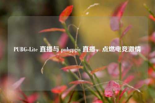 PUBG-Lite 直播与 pubgpgis 直播，点燃电竞 *** 