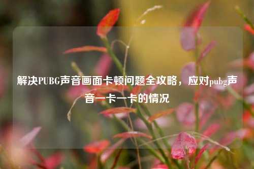 解决PUBG声音画面卡顿问题全攻略，应对pubg声音一卡一卡的情况