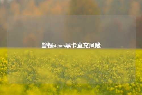 警惕steam黑卡直充风险