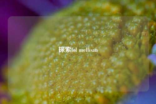 探索lol mellisan