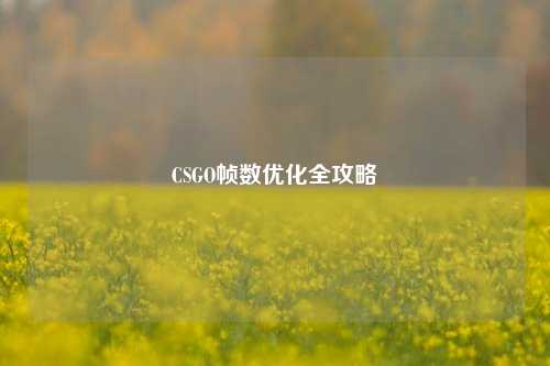 CSGO帧数优化全攻略