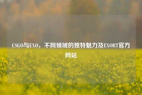 CSGO与EXO，不同领域的独特魅力及EXORT官方网站