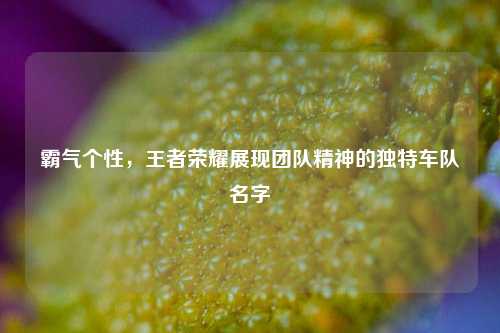 霸气个性，王者荣耀展现团队精神的独特车队名字