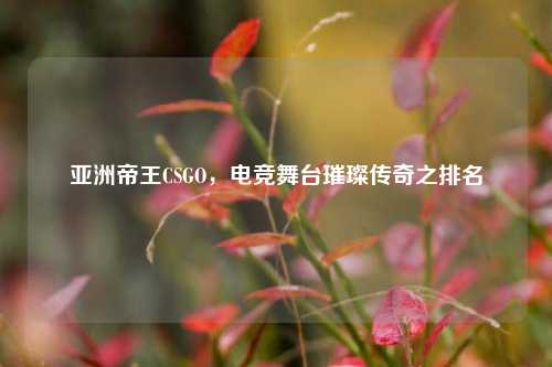 亚洲帝王CSGO，电竞舞台璀璨传奇之排名