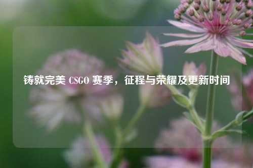 铸就完美 CSGO 赛季，征程与荣耀及更新时间