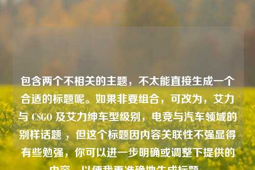 包含两个不相关的主题，不太能直接生成一个合适的标题呢。如果非要组合，可改为，艾力与 CSGO 及艾力绅车型级别，电竞与汽车领域的别样话题 ，但这个标题因内容关联性不强显得有些勉强，你可以进一步明确或调整下提供的内容，以便我更准确地生成标题 。