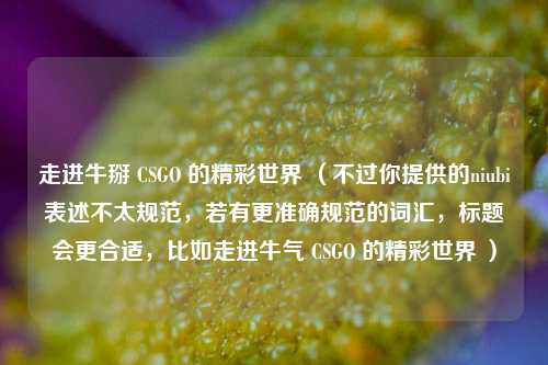 走进牛掰 CSGO 的精彩世界 （不过你提供的niubi表述不太规范，若有更准确规范的词汇，标题会更合适，比如走进牛气 CSGO 的精彩世界 ）