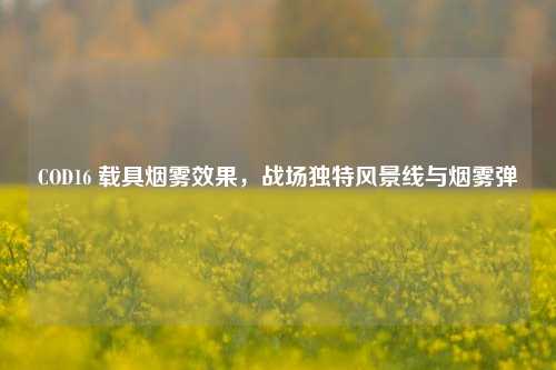 COD16 载具烟雾效果，战场独特风景线与烟雾弹